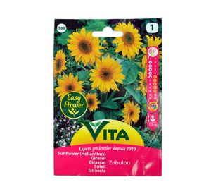 Semilla corriente zebulón girasol desinfectada x3 g vita