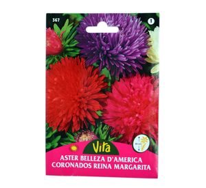 Semilla corriente reina margarita belleza variada desinfectada x0.8g vita