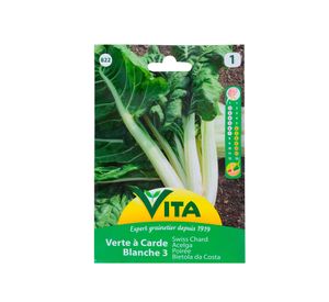 Semilla corriente desinfectada acelga verde penca blanca 3 vita