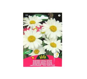 Semilla corriente margarita gigante blanca x0.8 g vita