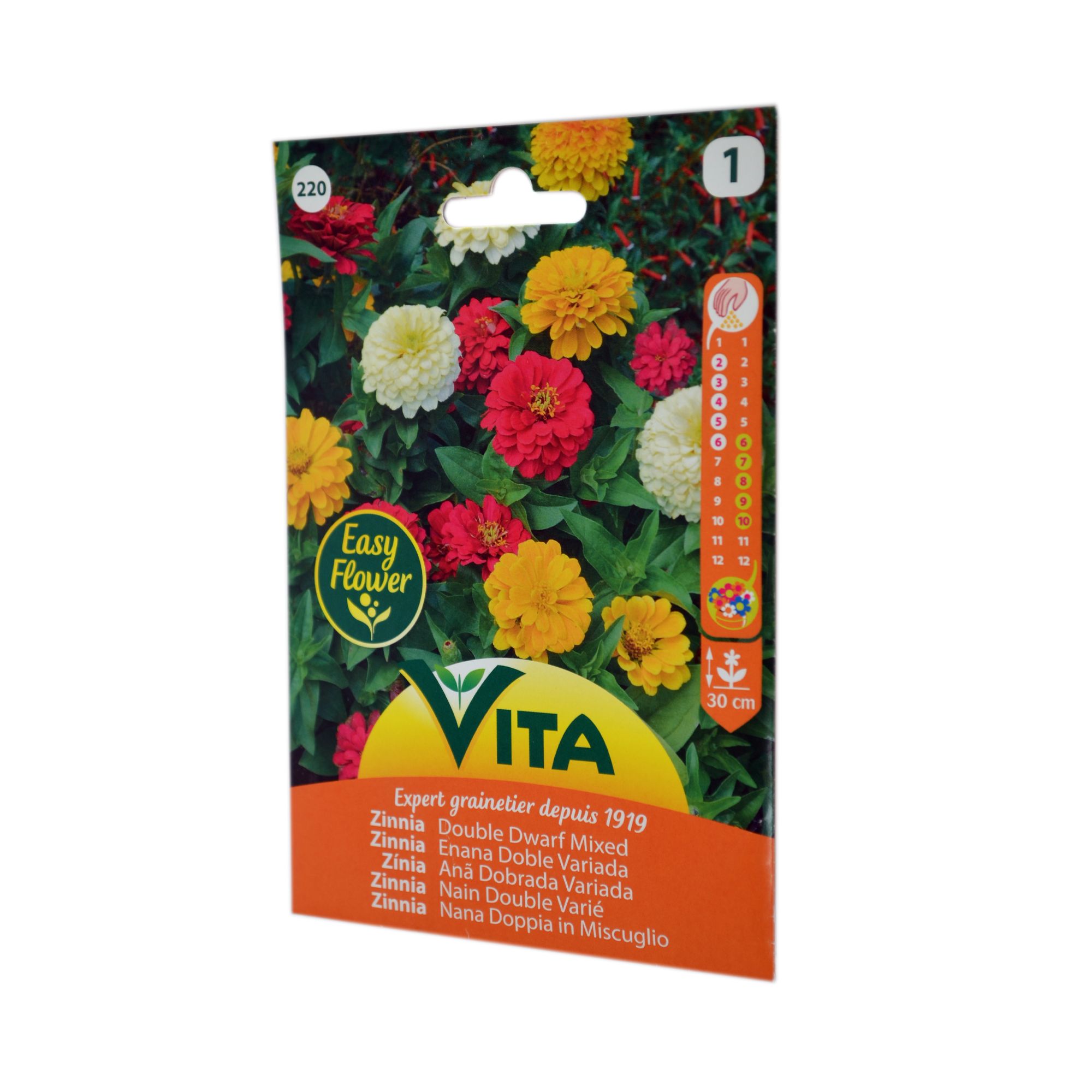 Semilla Zinnia Enana Doble Variada Vita 2g