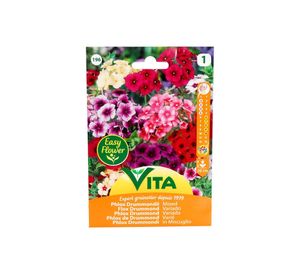 Semilla corriente flox drummond variado desinfectada x0.8 g vita