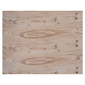 Terciado moldaje 15x1220x2440 mm