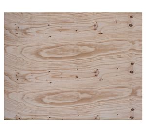 Terciado moldaje 15x1220x2440 mm