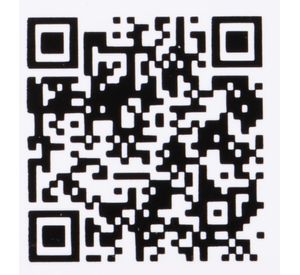 Regulador de gas licuado alta presión Gasjet