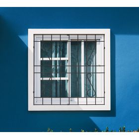 Protección Ventana Barra Acero Negro 100x100 cm