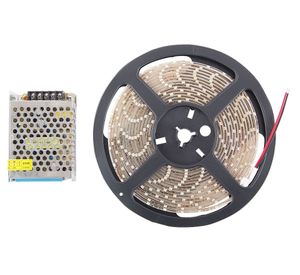 Cinta LED 60L 5m luz blanca Drl