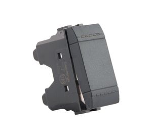 Interruptor 16A 9/24 antracita Bticino