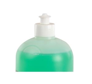 Shampoo repelente pulgas 1 litro eucaliptus Pets&Friends