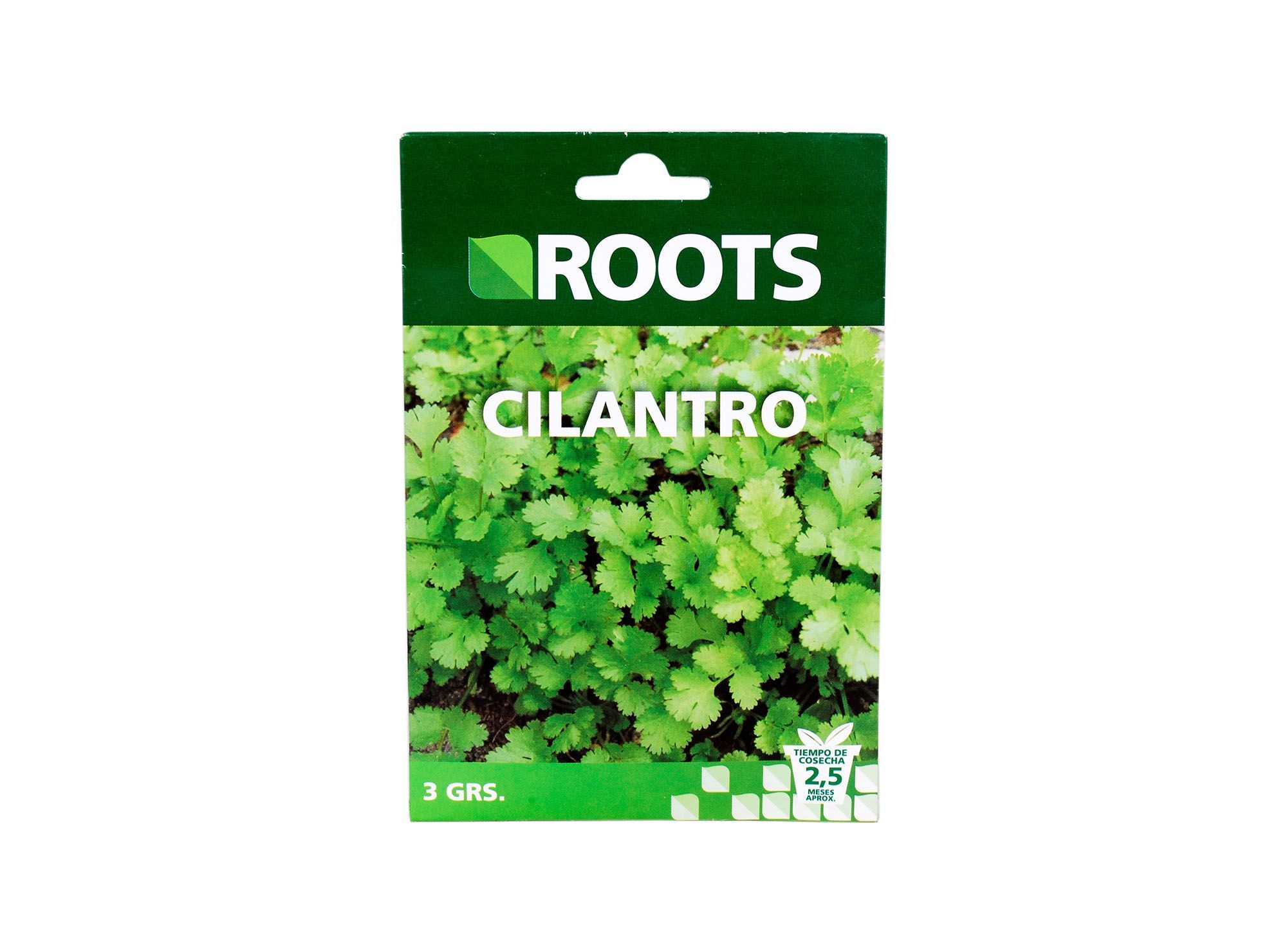 Semilla Cilantro Común Roots 3g