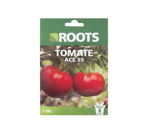 Semilla tomate ace 55 Roots