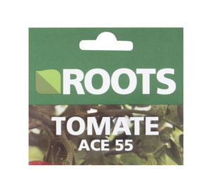 Semilla tomate ace 55 Roots