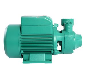 Electrobomba periférica 280x137x152 mm P200 verde McCarthy