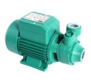 Electrobomba periférica 280x137x152 mm P200 verde McCarthy