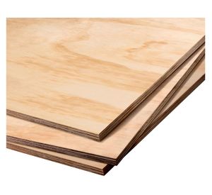 Terciado master 15x1220x2440 mm