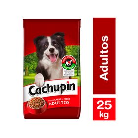 Alimento perro 25 kg Premium carne y arroz Cachupin