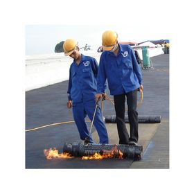 Membrana asfáltica 1x10 m 4PL31 Valli Zabban