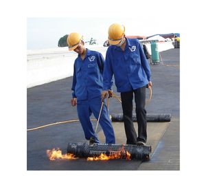 Membrana asfáltica 1x10 m 4PL31 Valli Zabban