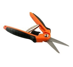 Tijera frutos y bonsái Roots