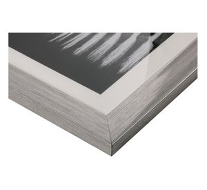 Cuadro 40x60 cm zebra negro/plateado Ronda