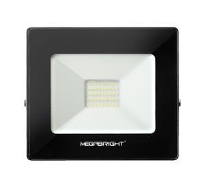 Proyector 30W luz fría Megabright