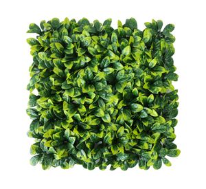 Jardín vertical Euonymus verde 50x50 cm