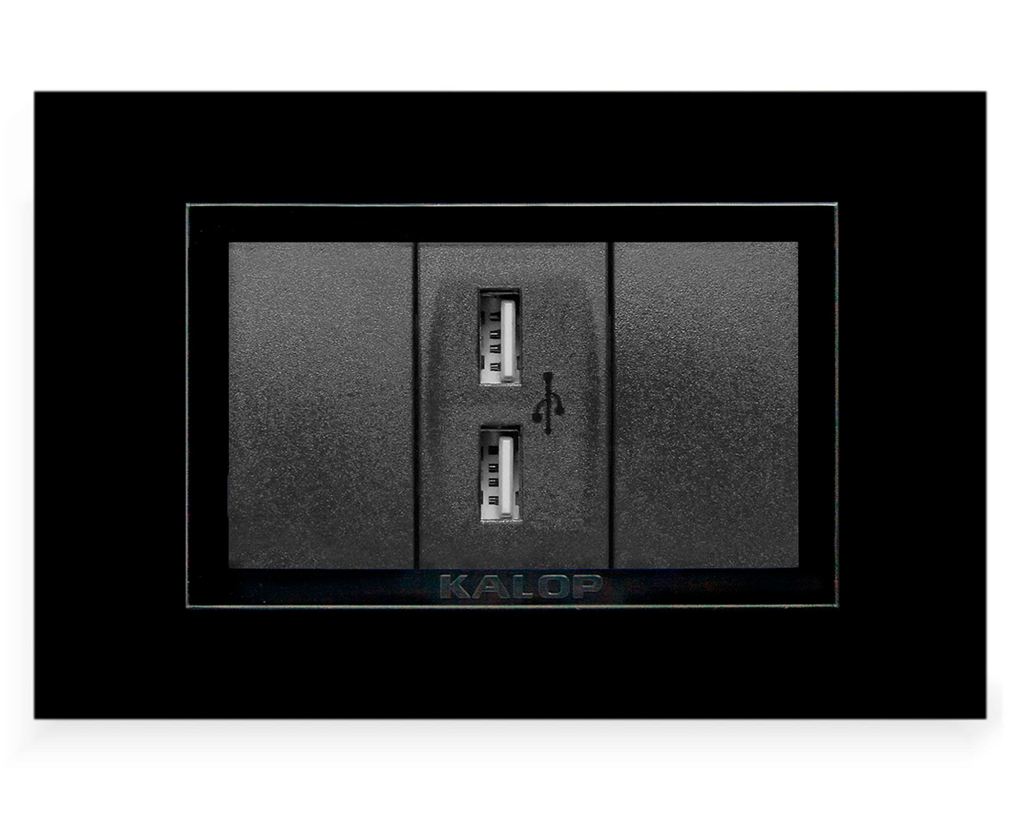 Placa armada USB doble KS40491 negro Kalop