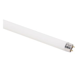 Tubo LED 8W T8 luz fría 60 cm Ecofit Philips