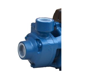 Bomba periférica 0,5 HP BTPM37 Bestflow