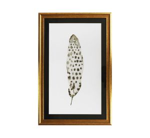 Cuadro 60x40 cm Plumas negro Ronda.