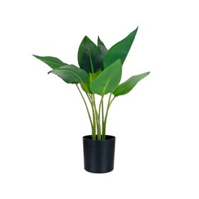 Planta artificial Strelitzia Outzen