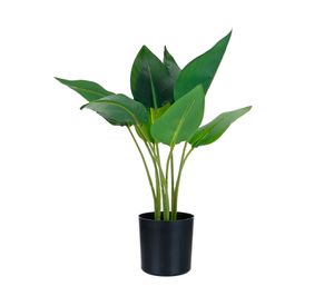 Planta artificial Strelitzia Outzen