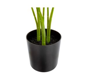 Planta artificial Strelitzia Outzen