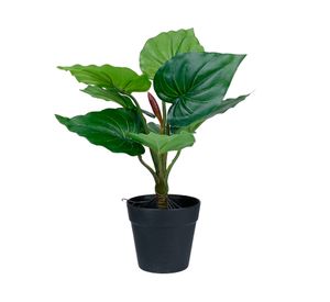 Planta artificial Croton D Outzen.