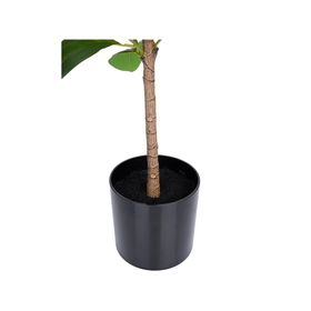 Planta artificial 110 cm Peperomia Outzen.