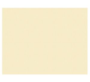 Antideslizante para alfombra 100x150 cm Cotidiana