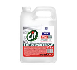 Desincrustante de grasa profesional 5 lt