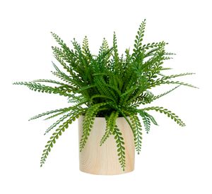Planta artificial 32 cm Adiantum Outzen