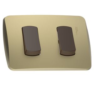 Placa armada con interruptor doble 16A 9/15 dorado Schneider