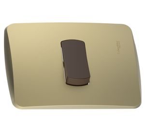 Placa armada con interruptor 16A 9/12 Miluz dorado Schneider