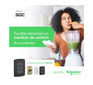 Placa armada con interruptor 16A 9/12 Miluz dorado Schneider