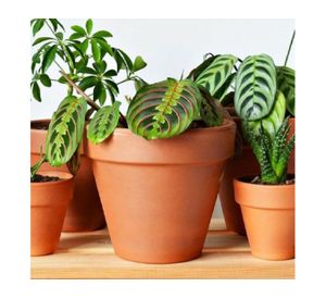 Maceta Kony 24 cm Terrarcilla