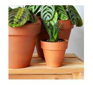 Maceta Kony 11 cm Terrarcilla