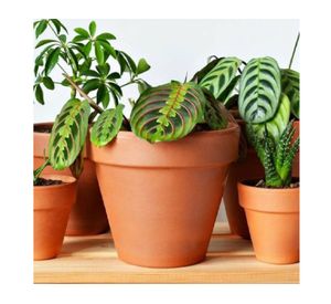 Maceta Kony 19 cm Terrarcilla