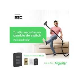 Toma corriente triple 10A Miluz grafito Schneider Electric