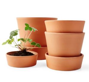 Maceta Zaia 15 cm terrarcilla