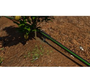 Tubería 50 m Dline Plus con gotero integrado Vinilit