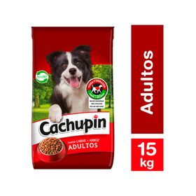 Alimento perro 15 kg adulto carne Cachupin
