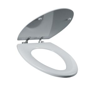 Asiento WC redondo blanco bisagras cromadas