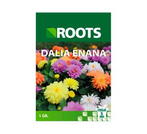 Semilla de flor Dalia 1 g Roots